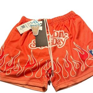 Brand New‎ Snow Day short size Small